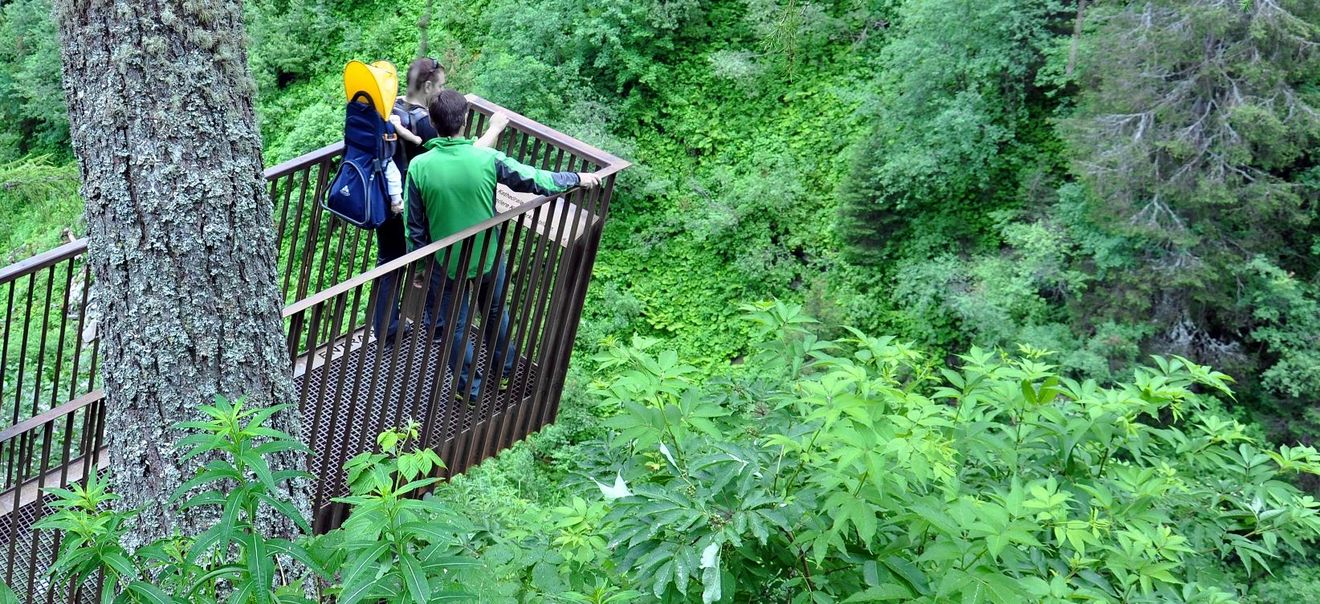 Umbal gruen Startbild kl