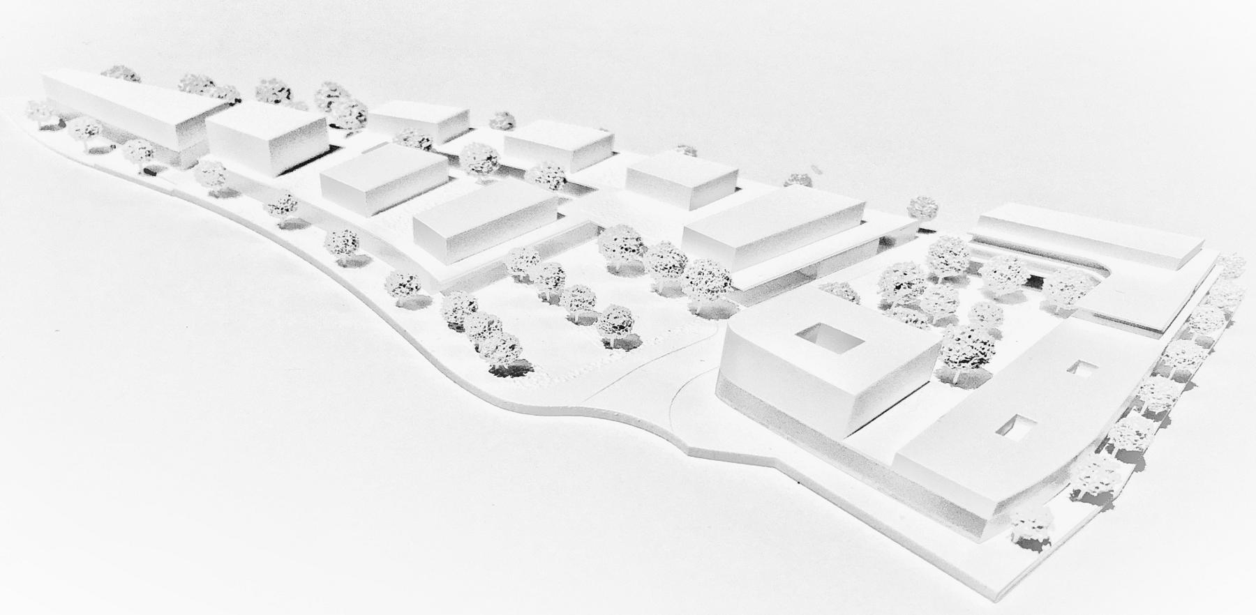 10.1 WEB 01-Massenmodell-1