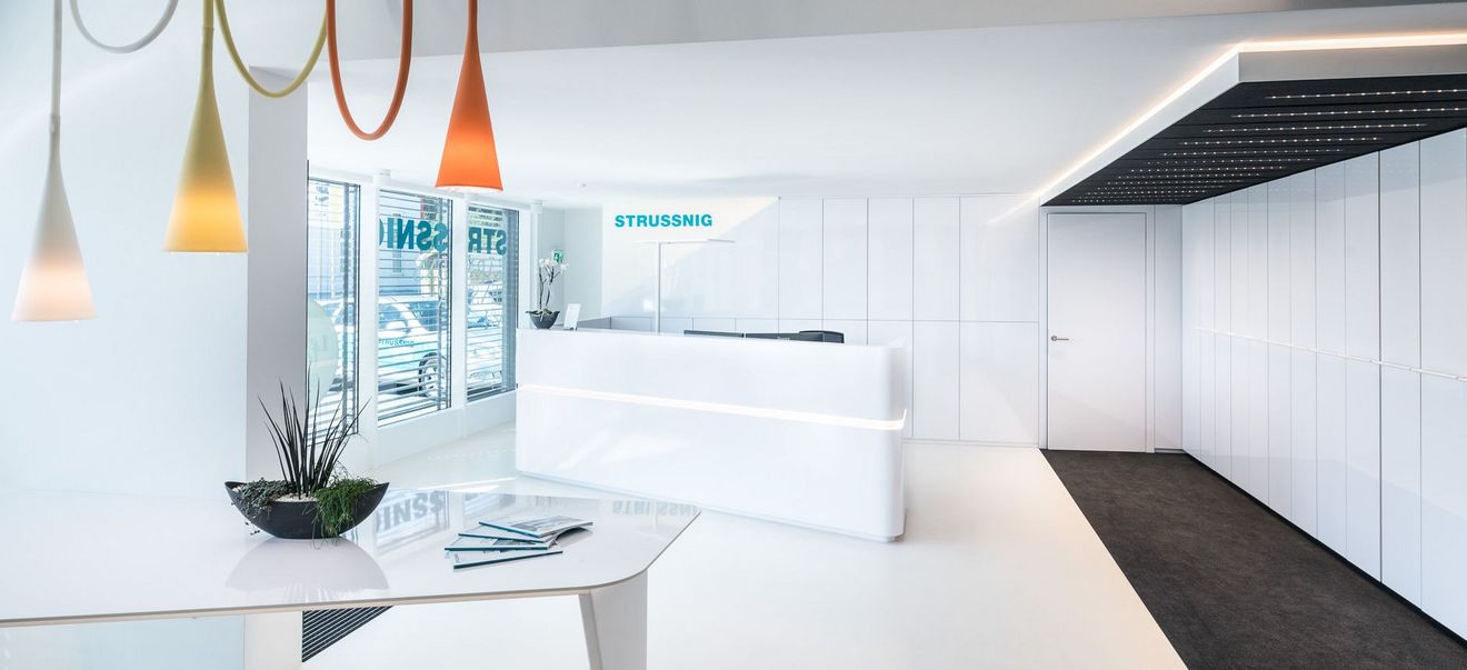 10  web strussnig Vorschaubild